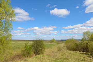 spring landscape with a wide field, forests, blue sky with clouds on a sunny day