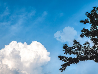 Emotion blurred of cloud in summer, defocused in subject. Abstract blur background of cloudy in day time. A beautiful in nature of cloud and sky. Silhouette image top of tree, tree parts.