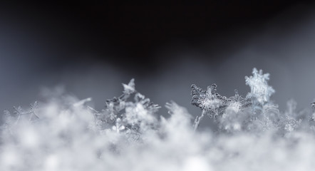 snowflake, little snowflake on the snow