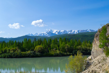 Fototapeta na wymiar A picturesque landscape with a calm turquoise river near cliff on clear summer day with a forest and green trees on the other bank reflecting in the water against the backdrop of high Altai mountains