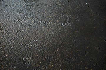 Ripples on water surface