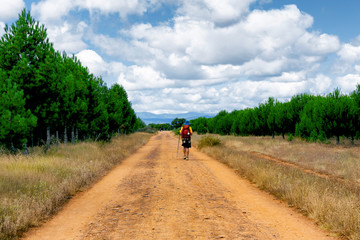 Camino de Santiago (Spain) - A pilgrim walking along the way of St.James, in the spanish meseta