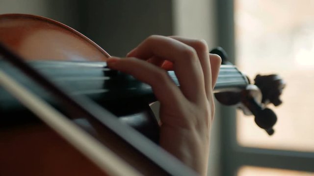 Close-up of the violinist: Musician playing violin classic music