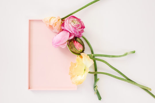 spring flowers on a pink tray