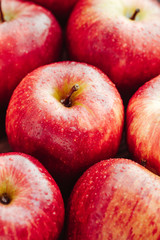 Harvest of ripe apples variety Red Delicious. Food background, macro photography.
