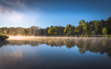 Misty mornings in Tervuren