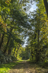Main Wander Weg bei Miltenberg