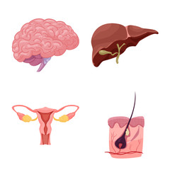 Vector illustration of body and human symbol. Collection of body and medical stock vector illustration.