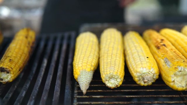 Close up of appetizing grilled sweet corn on the bbq grill. Street food festival. Shef turn the corn on grill.