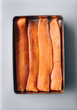 Fresh salmon