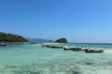 Fototapeta premium Ko lanta