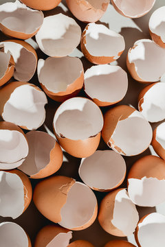 Egg shells