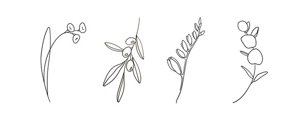 Flowers set isolated on a white background, Hand drawn flowers set, Clipart wildflowers © DOROTHEA