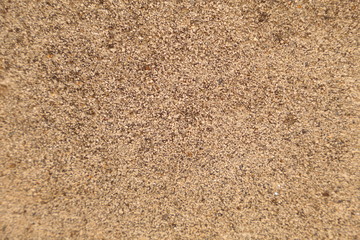 granular sand texture