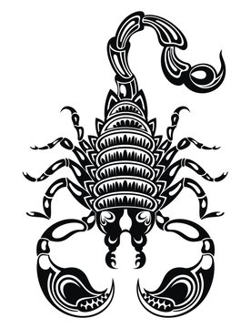 Scorpion illustration .Scorpion icon. Vector scorpion.