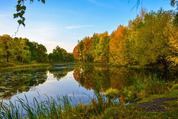 Fototapeta na wymiar Beautiful autumn landscape. Lake, yellow and red trees by the lake. Reflection in water. Blue sky. Sunny autumn day