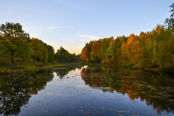 Fototapeta premium Beautiful autumn landscape. Lake, yellow and red trees by the lake. Reflection in water. Blue sky. Sunny autumn day