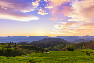 Fototapeta premium Small house and rice terraces field at pabongpaing village rice terraces Mae-Jam Chiang mai, Thailand