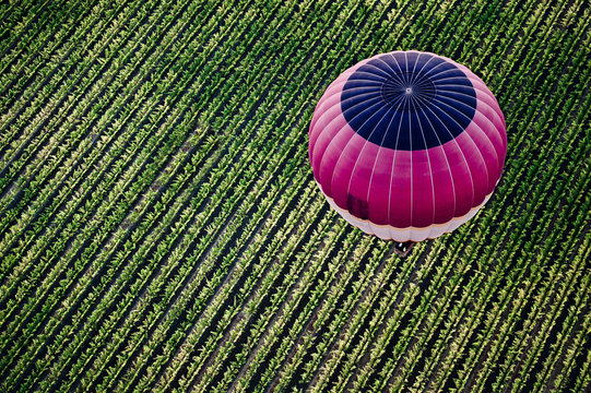 Napa by Hot Air Balloon