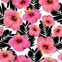 Seamless pattern pink pastel color Hibiscus and black palm leaves on isolated white background.Vector illustration hand drawing.