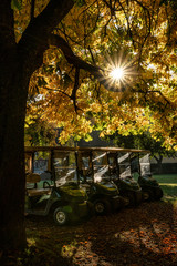 Caddies auf einem herbstlichen Golfplatz