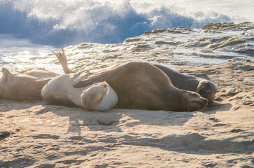 Entspannen am Strand