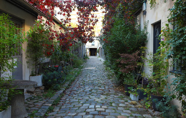Fototapeta na wymiar The lost secret Durmar street in Obercampf district of Paris.