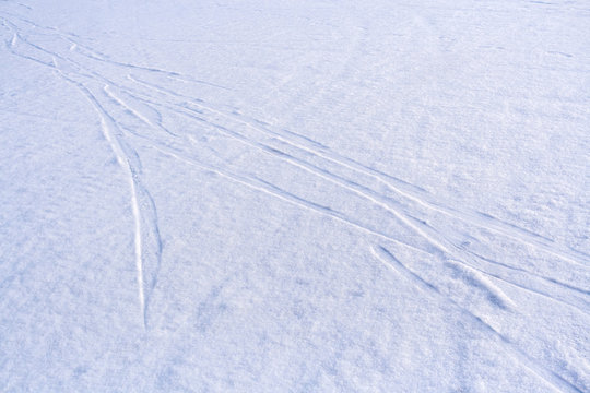 Traces of sledge runners on freshly fallen snow.