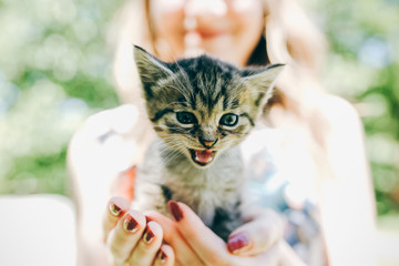 Happy girl with bright nails is holding small cute kitten in her hands. Smiling woman is playing with a cat outdoors. Furry pet and his human friend. Nature and animal concept. © Vadym