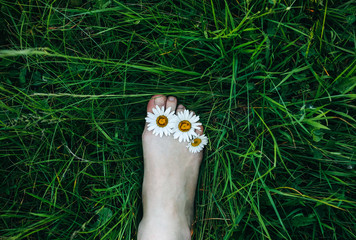 Camomile flowers are in the toes. Woman feet standing in the grass. Nature harmony concept. Sunny summer photo. Travel flat lay.