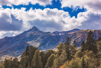 mountain,forest,illuminate sun,autumn on nature.