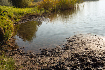 Closeup of the muddy shore of a Dutch lake in low early morning sunlight.