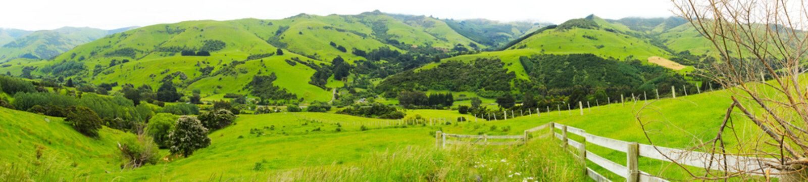 Scenic landscapes near Akaroa, New Zealand