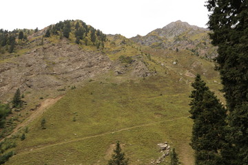 Beautiful scene of trees with mountains in the area of kashmir