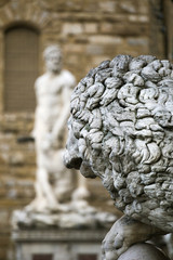 Statue of a lion at Signoria square in Florence, Italy