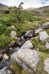 Fototapeta na wymiar Stunning landscape image of countryside around Llyn Ogwen in Snowdonia during early Autumn