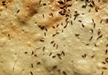 Flatbread with  fresh caraway seed ,