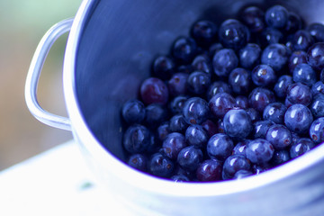 close up of group of berries grapes in a pot