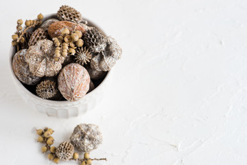 Christmas holiday concept