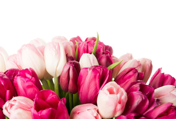 Fototapeta premium bouquet of pink tulips