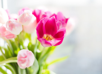 Obraz na płótnie Canvas A bouquet of tulips in a vase. Soft selective focus