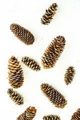 Christmas holiday concept