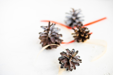 Christmas holiday concept