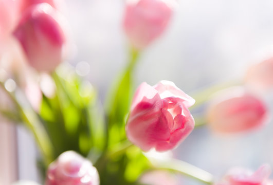 A bouquet of  tulips in a vase. Soft selective focus