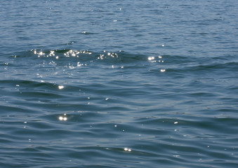 Fototapeta premium SEA WAVES