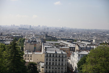 Fototapeta premium Roofs of Paris