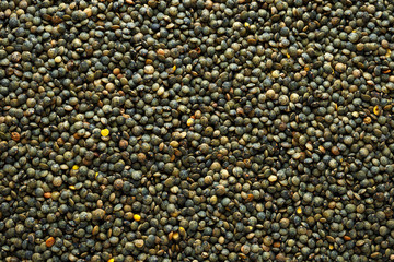 Organic lentils dry seeds close-up, healthy super diet food