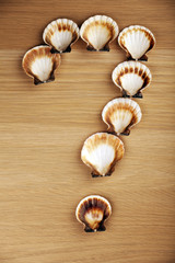 Seashell question symbol studio