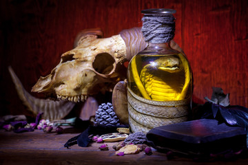 Snake cobra in the bottle, ram skull, old books, dry rose and crow quill on old wooden desk. Vintage witchcraft still life.