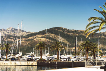 palm trees and yachts on a sunny day in the marina in Porto Montenegro, Tivat